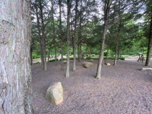 wooded area of winery