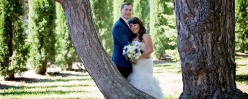 Bride and groom pose between tree branches after the wedding