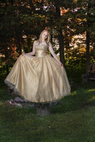 Girl poses on a tree stump in gold gown