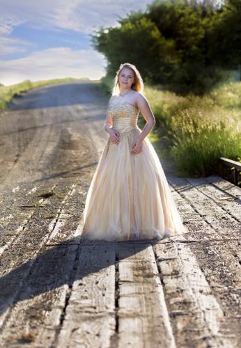 Girl in gold gown poses on country road